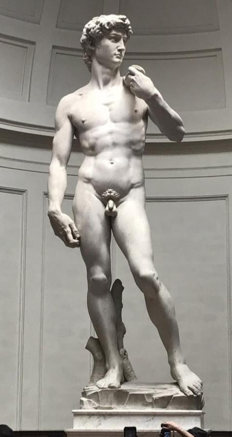 Dependace Il David Di Michelangelo Lägenhet Florens Exteriör bild